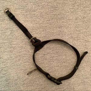 Control Ease, gentle dog collar (small)